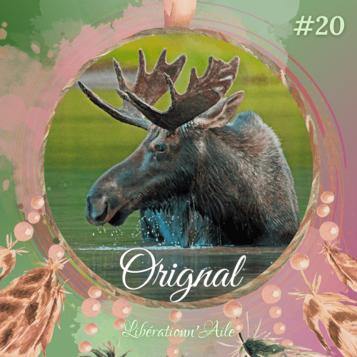 Orignal