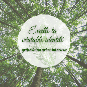 À la rencontre de ton arbre spirituel