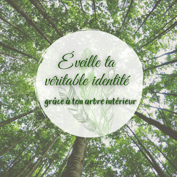 À la rencontre de ton arbre spirituel